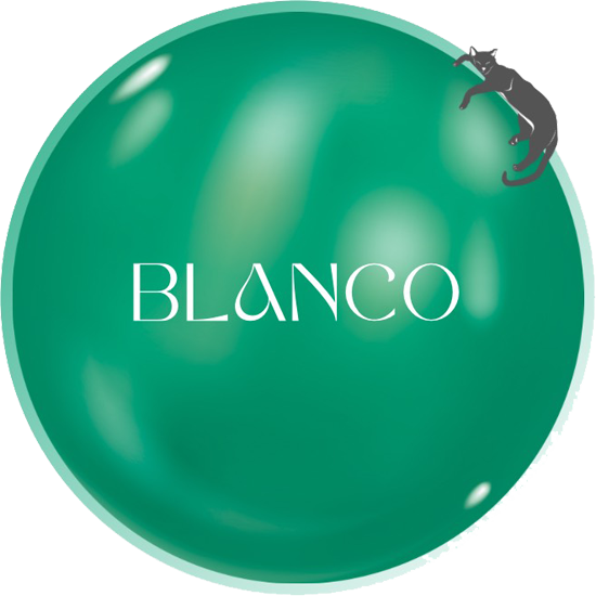 福山市でダイエットも目指せるエステサロン『脳洗浄 ・リンパマッサージのBlanco』